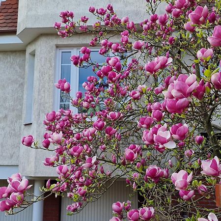 Apartament Magnolia Sopot Ngoại thất bức ảnh